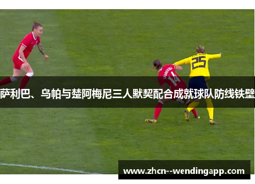 萨利巴、乌帕与楚阿梅尼三人默契配合成就球队防线铁壁